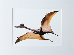 Individual Dinosaur Prints