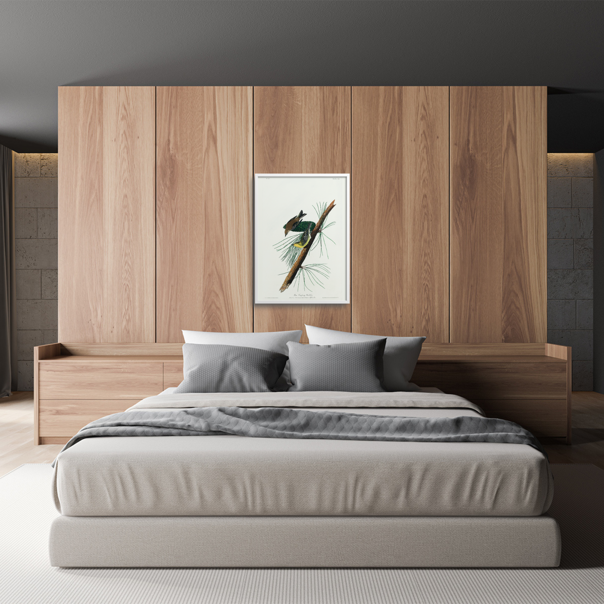 Pine creeping warbler by James Audubon in a bedroom.
