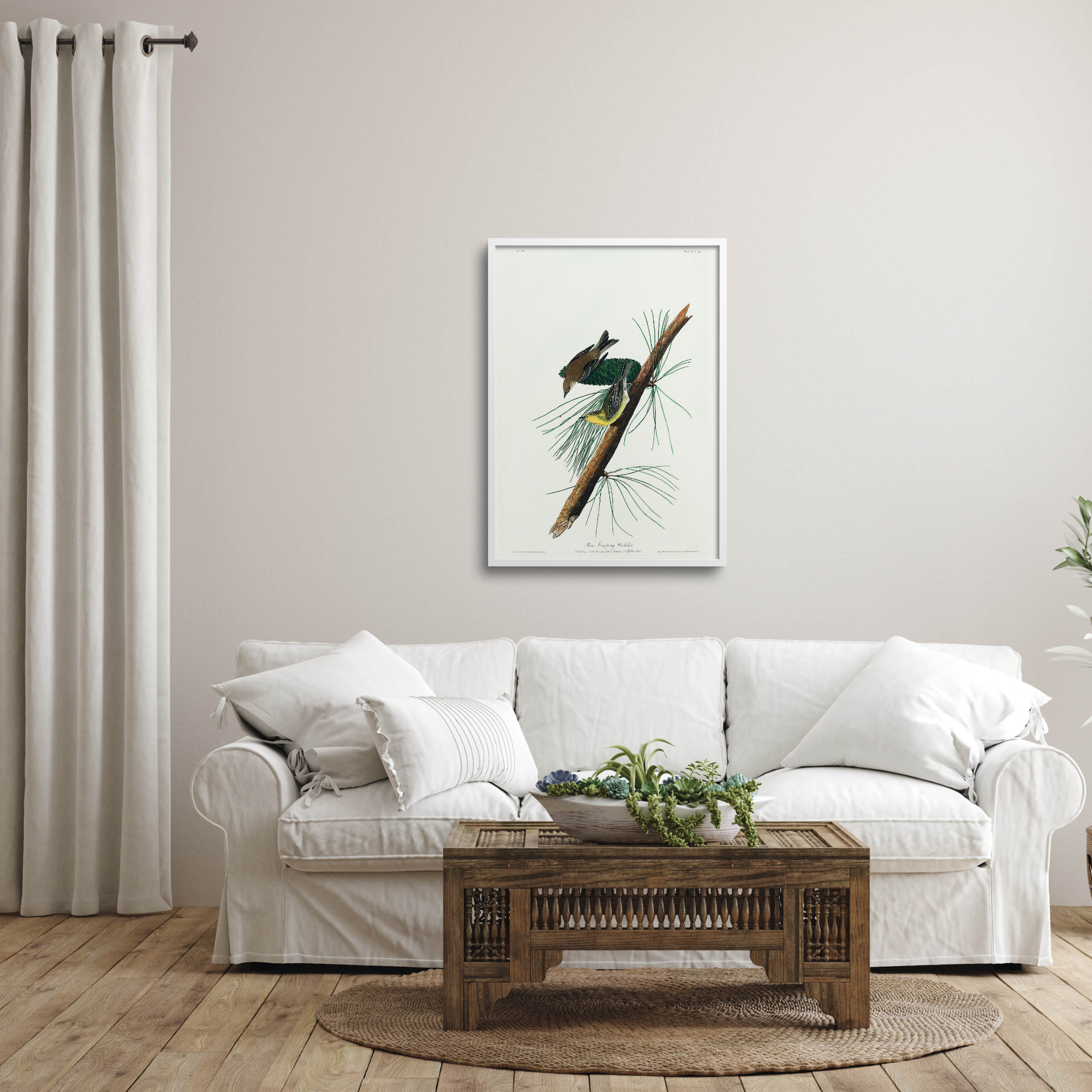 Audubon bird print in a modern living room.