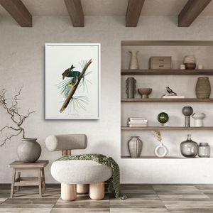 Audubon bird print of pine creeping warbler in a Japanese style living room.