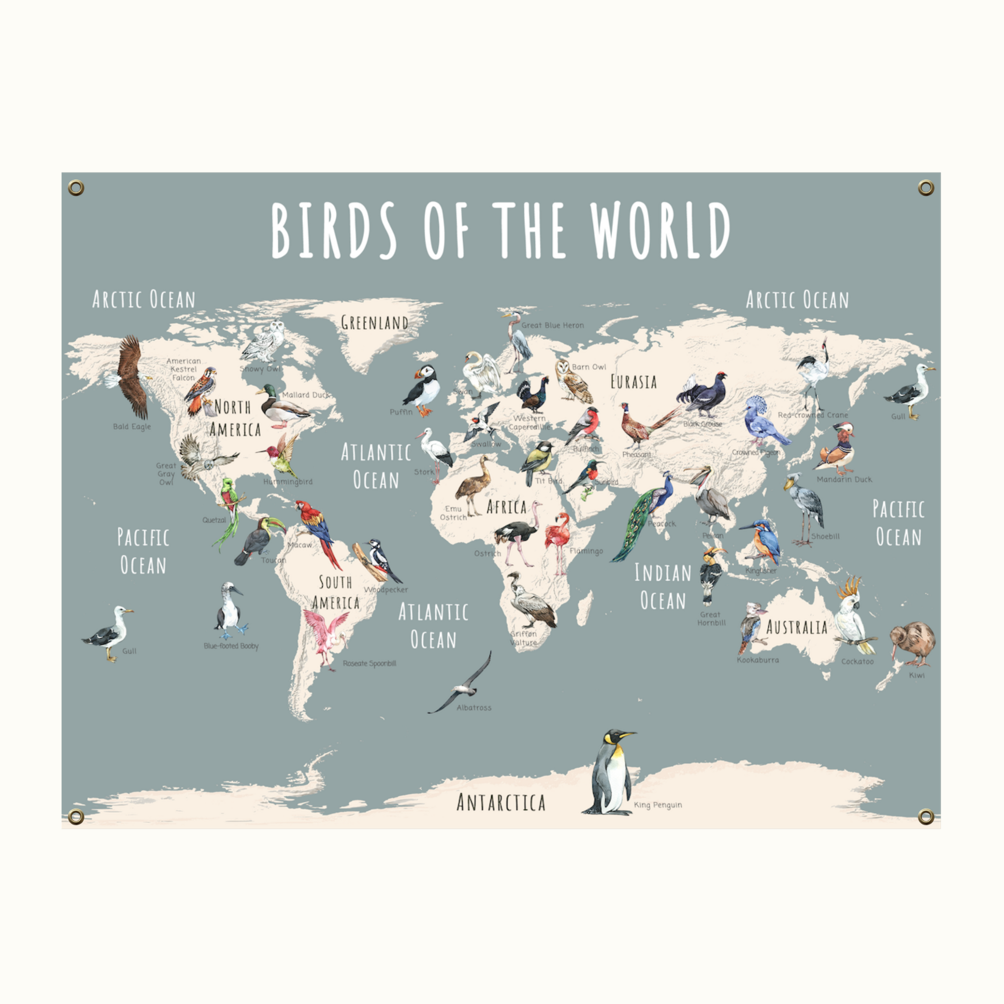 Bird World Map on Fine Art Canvas or Archival Paper