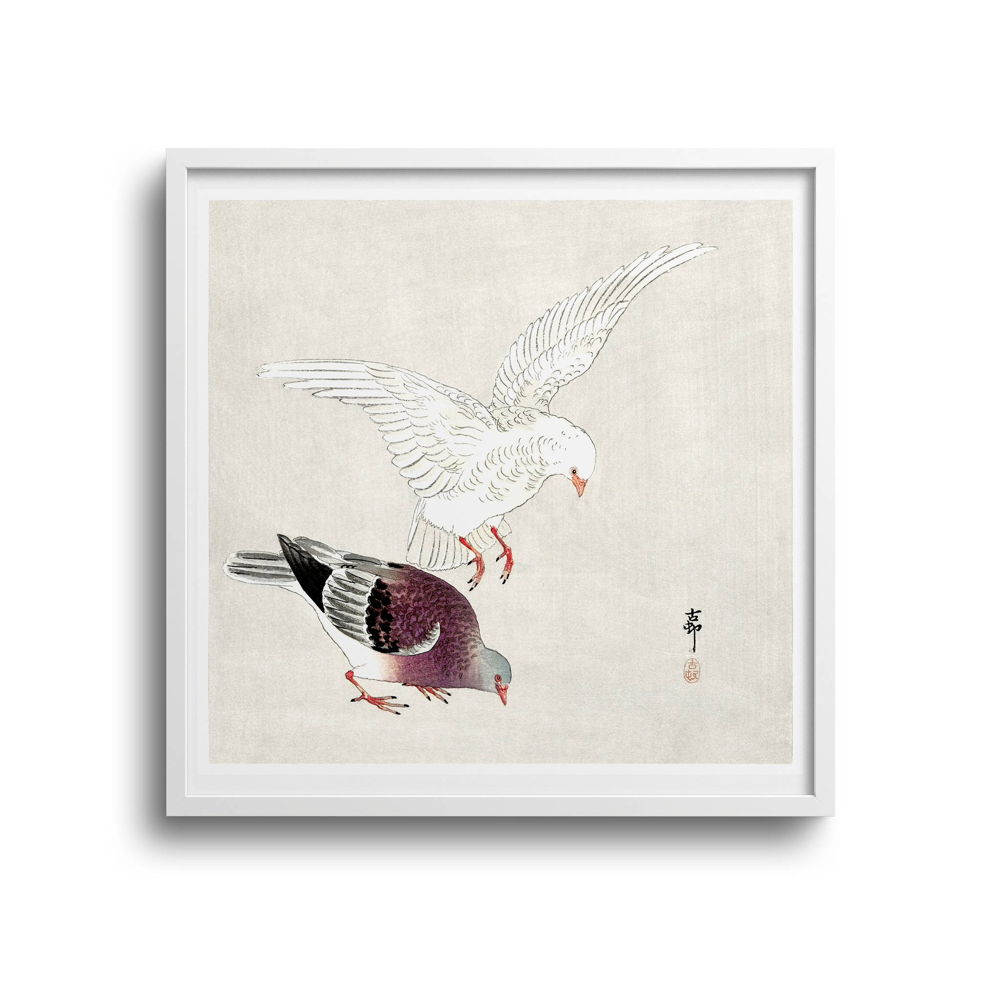 Framed Two Pigeons by Ohara Koson