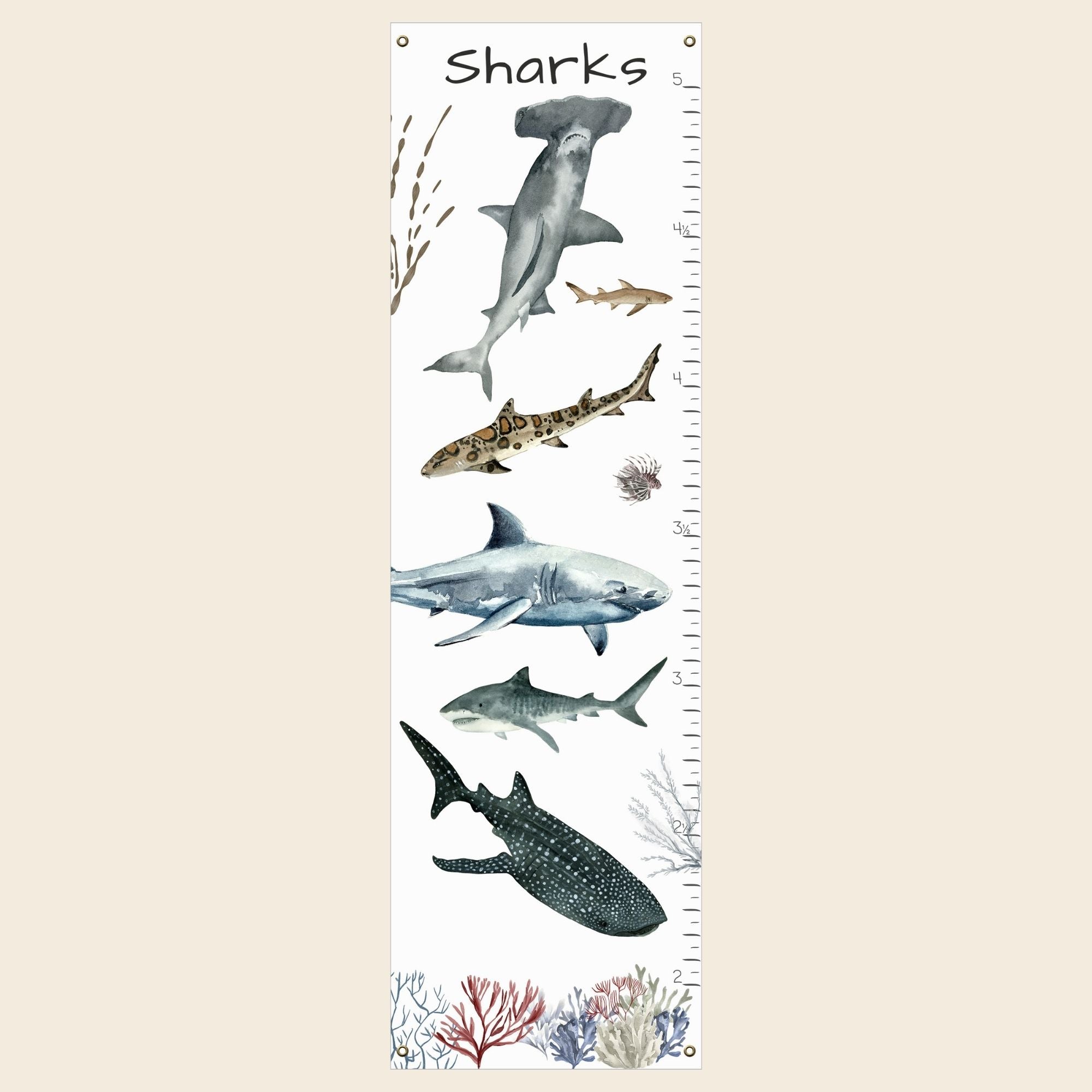 shark growth chart