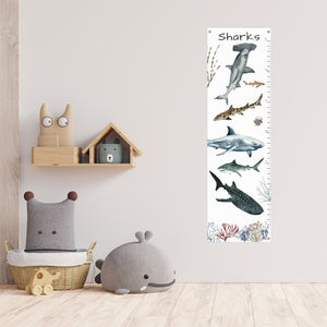 Shark growth chart in a child's playroom.
