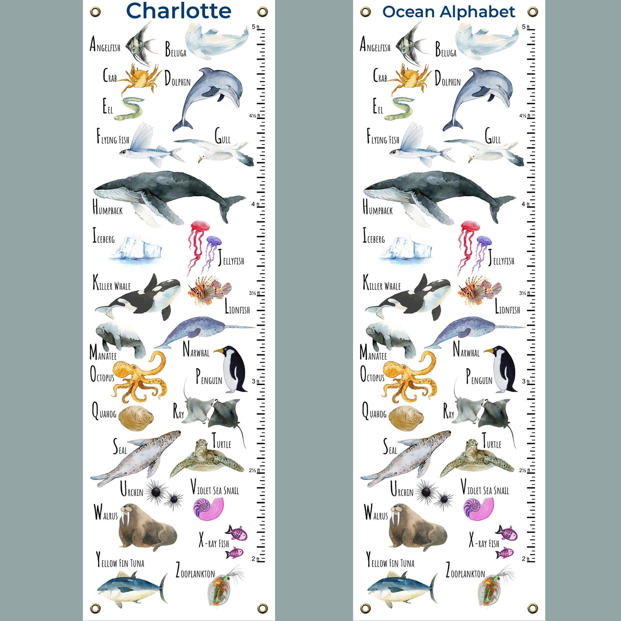 ocean alphabet growth chart  personalized with child's name
