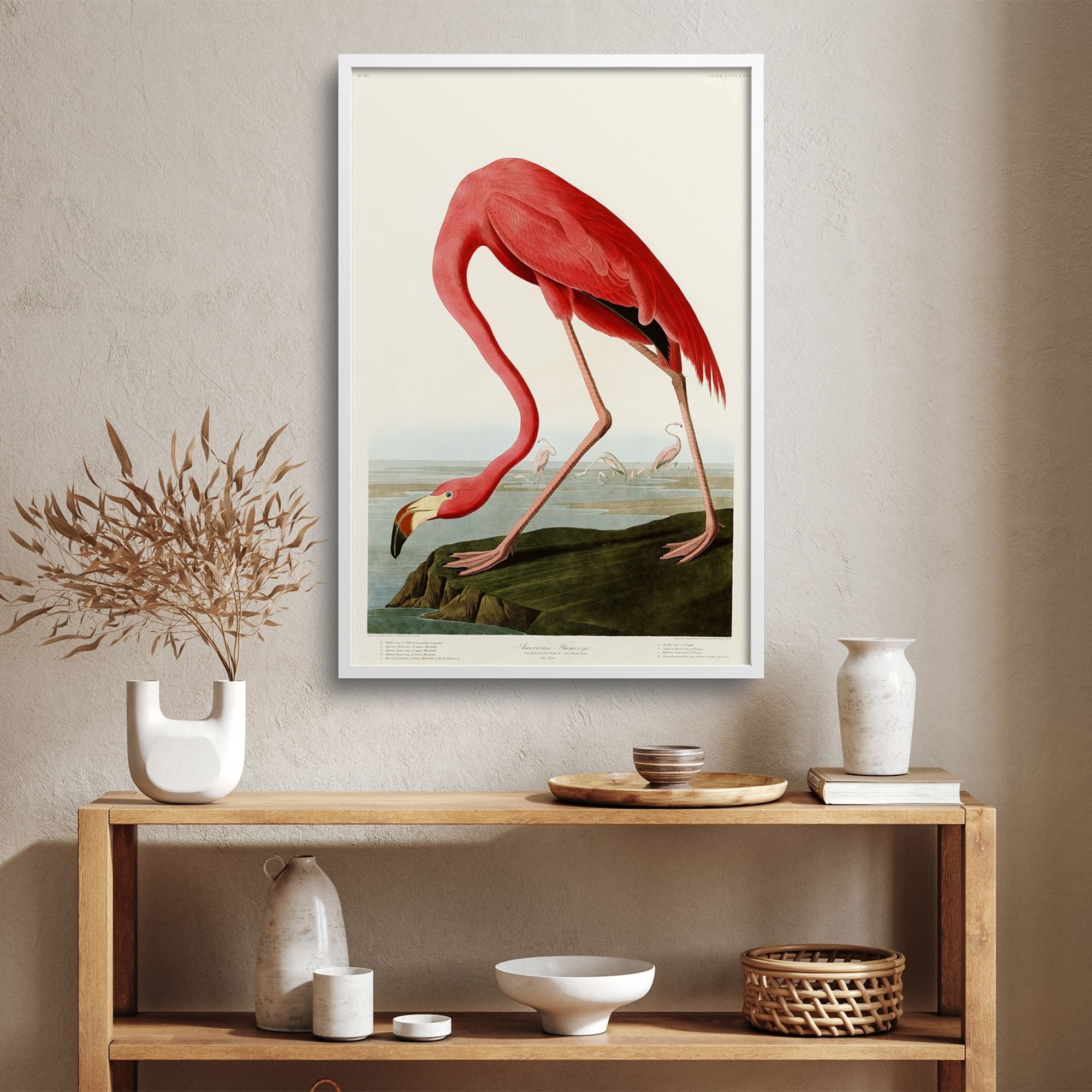 AMERICAN FLAMINGO, AUDUBON PLATE 431