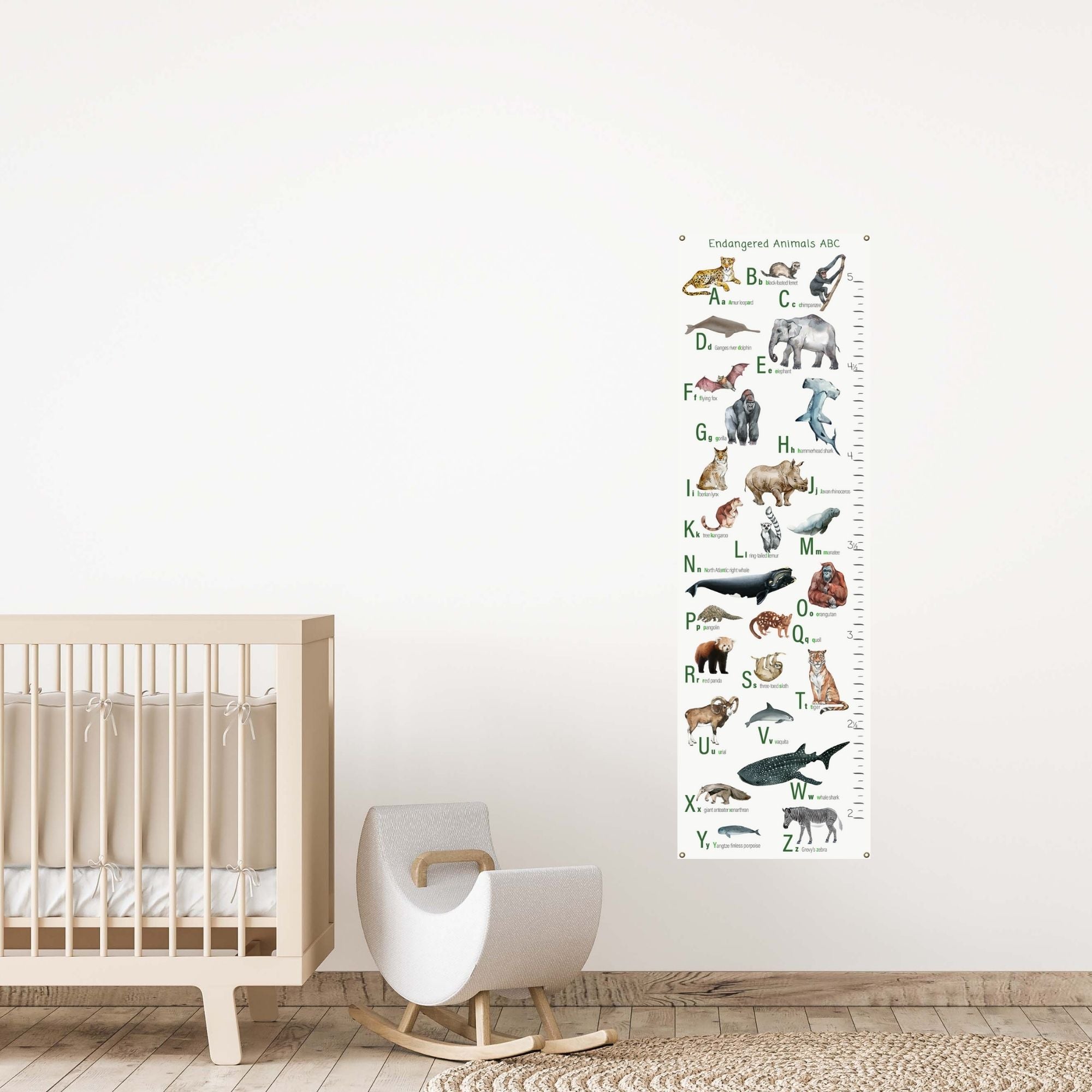 Endangered animals alphabet growth chart in baby's room.