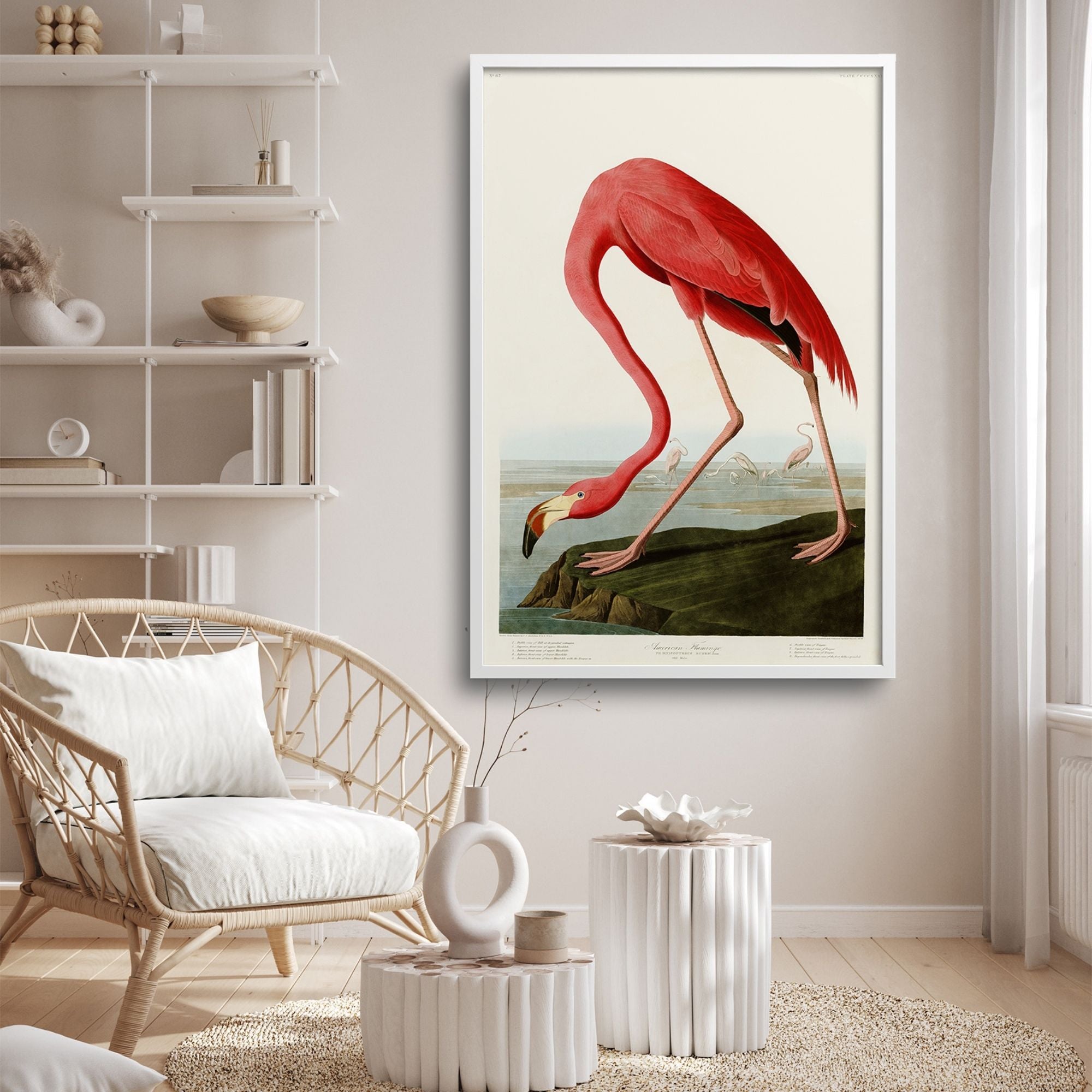 AMERICAN FLAMINGO, AUDUBON PLATE 431