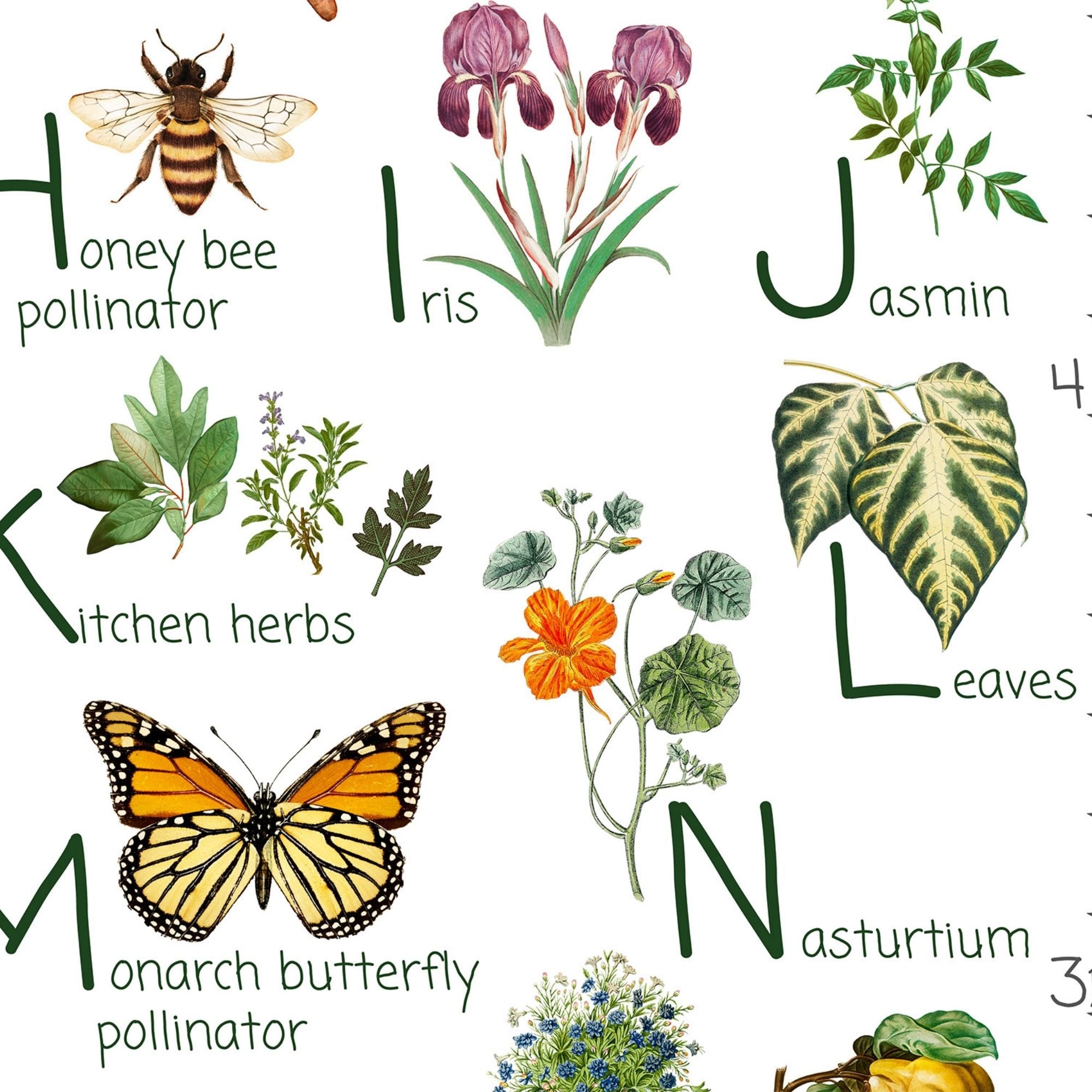 Closeup of gardening growth chart.