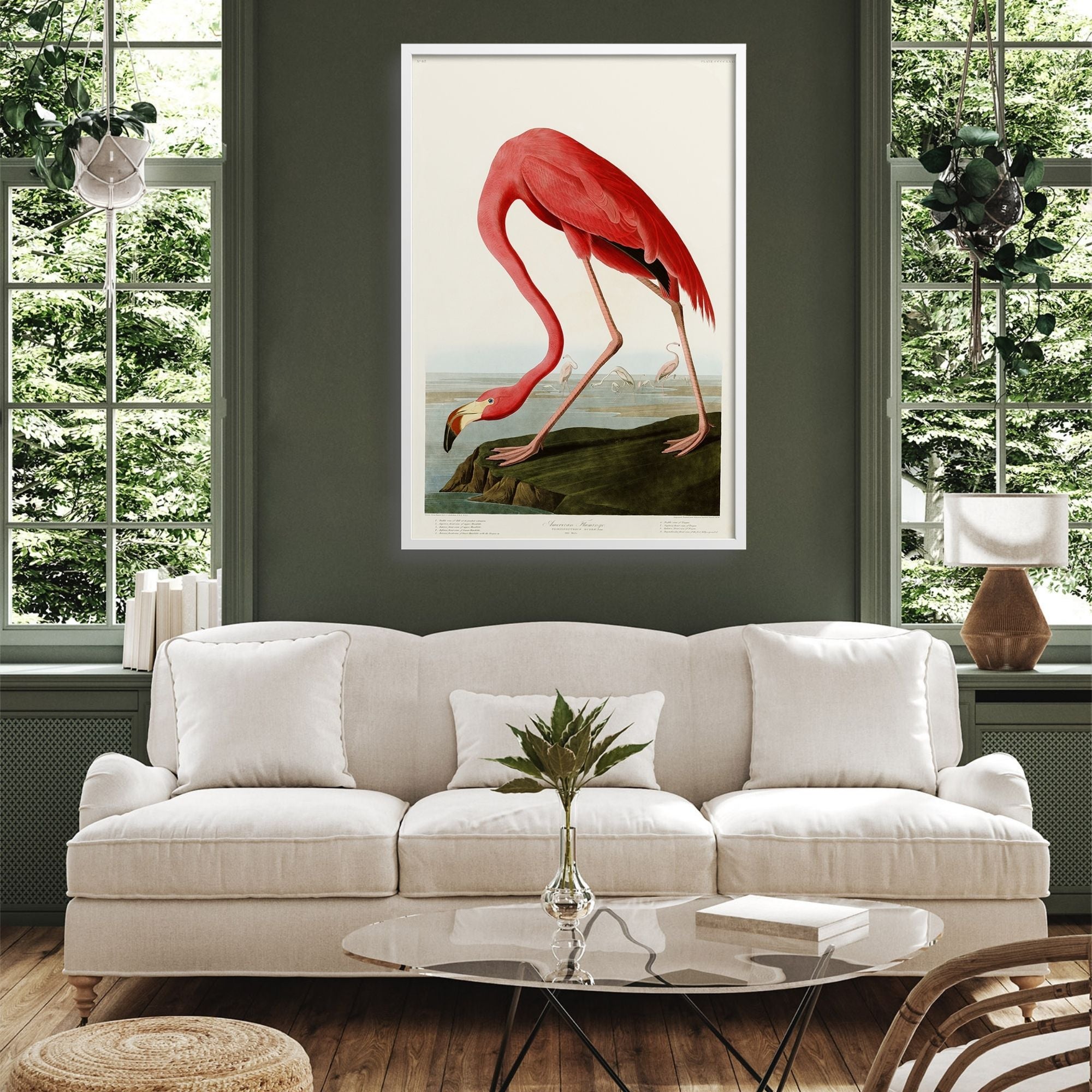 AMERICAN FLAMINGO, AUDUBON PLATE 431, in living room