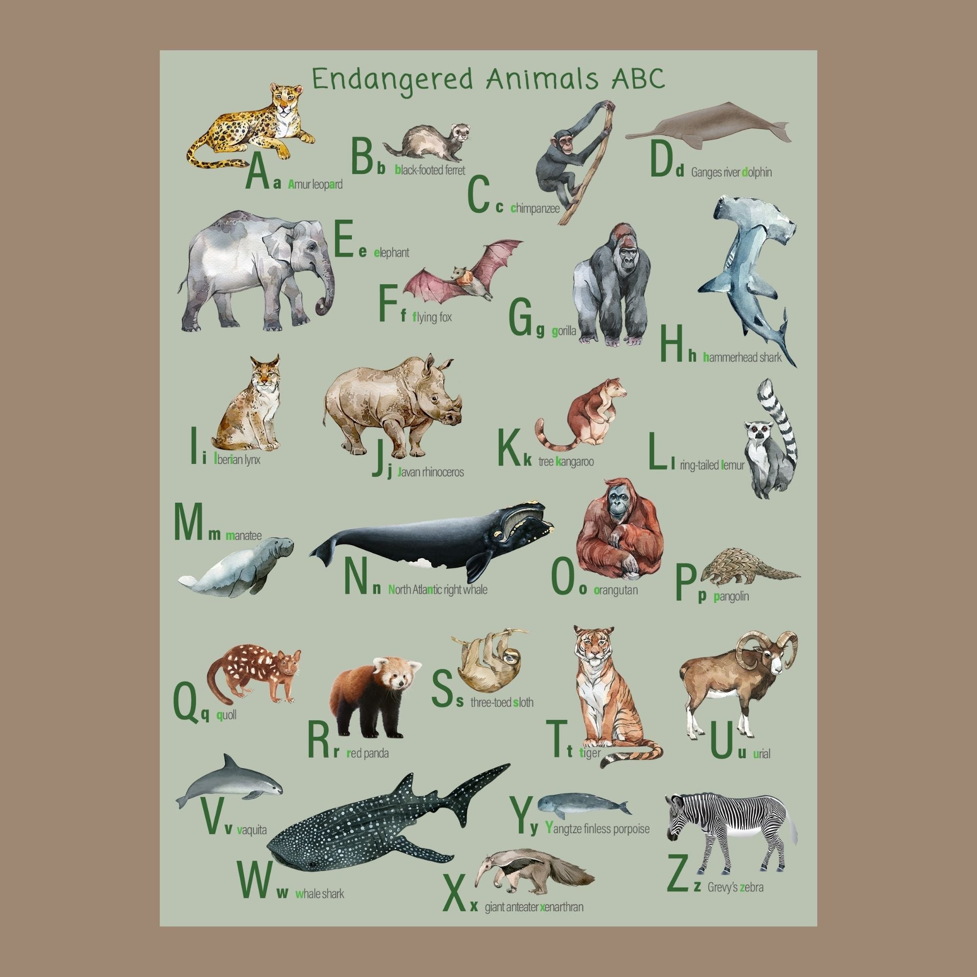 Endangered animals alphabet poster on fine art paper.