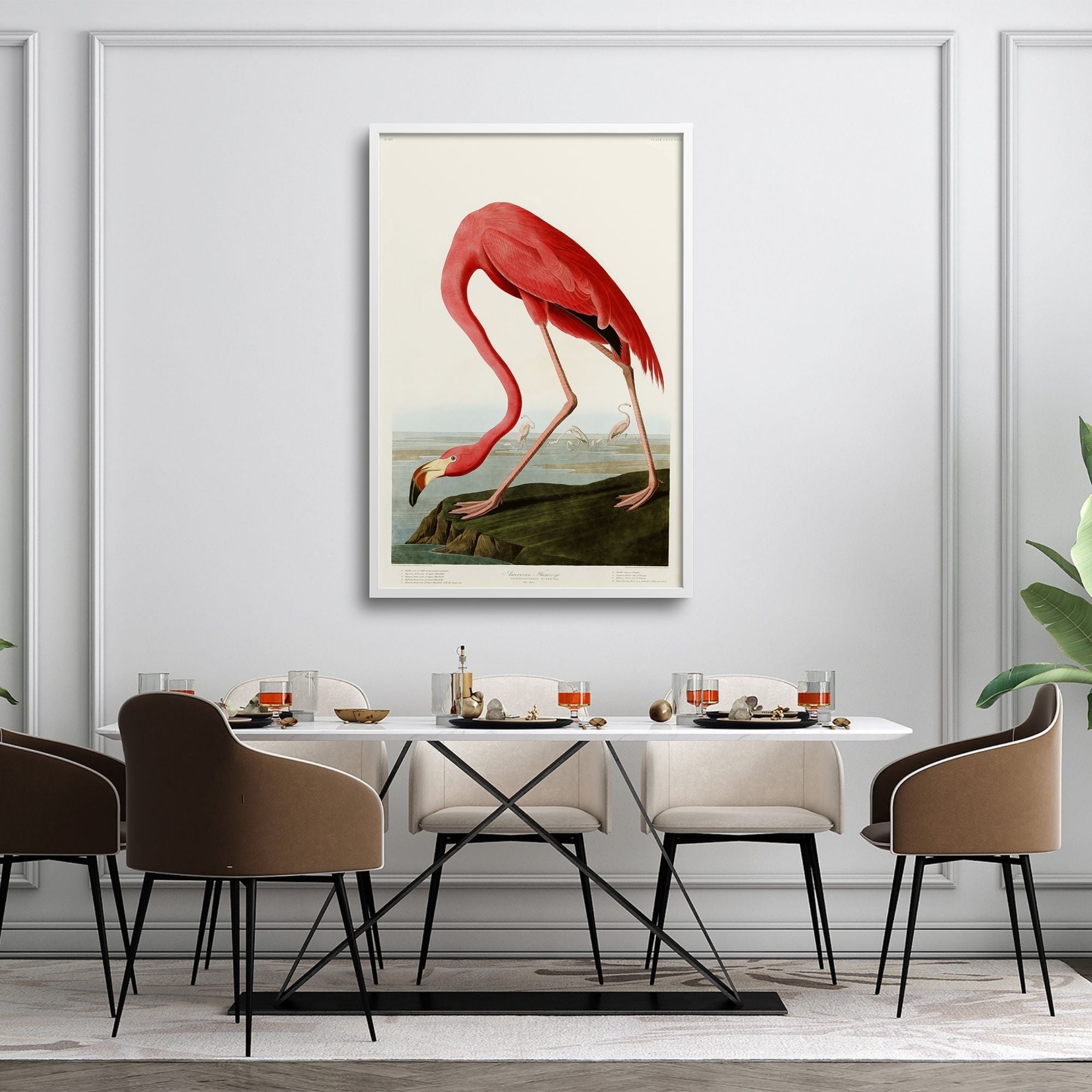 AMERICAN FLAMINGO, AUDUBON PLATE 431, in dining room