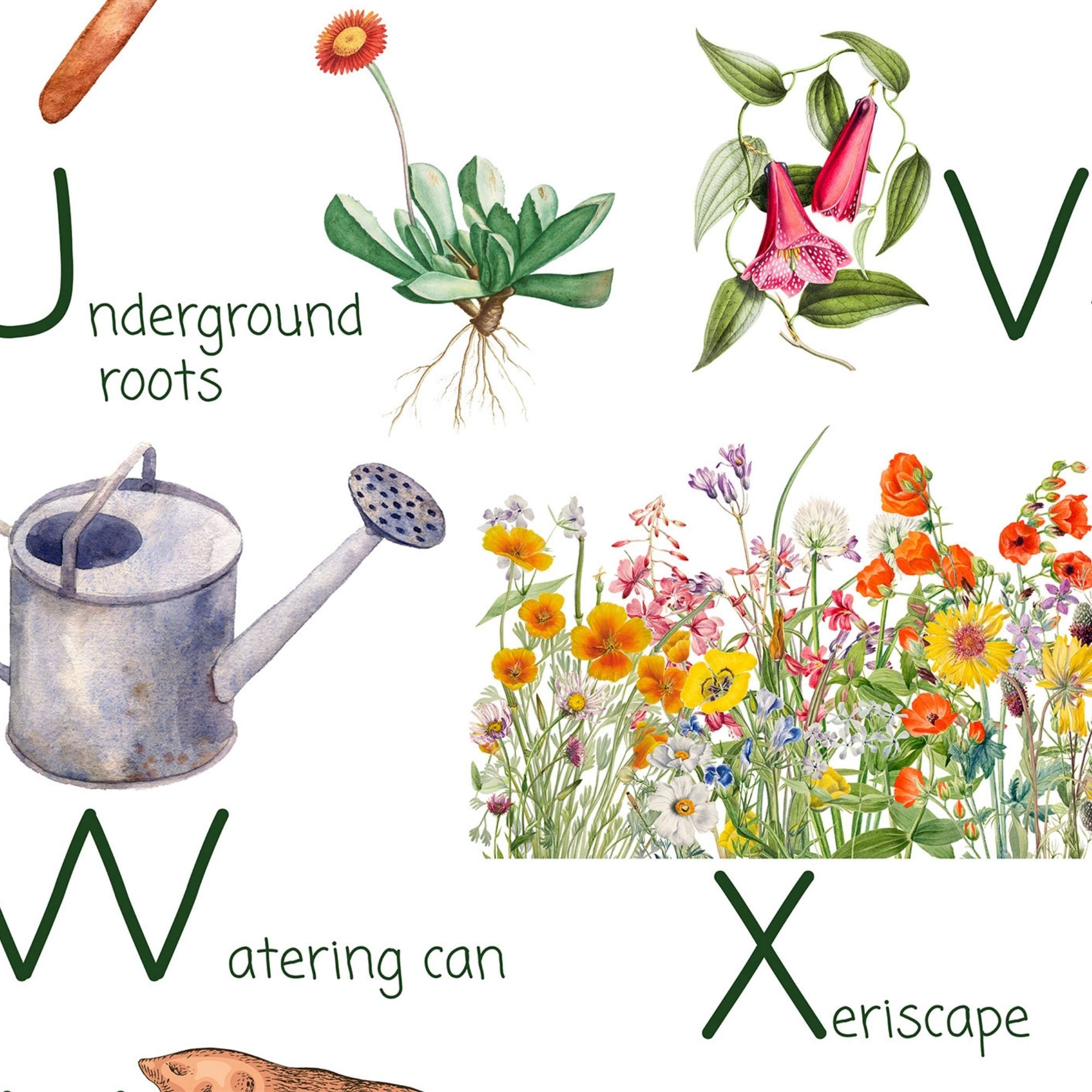 Closeup of gardening growth chart.
