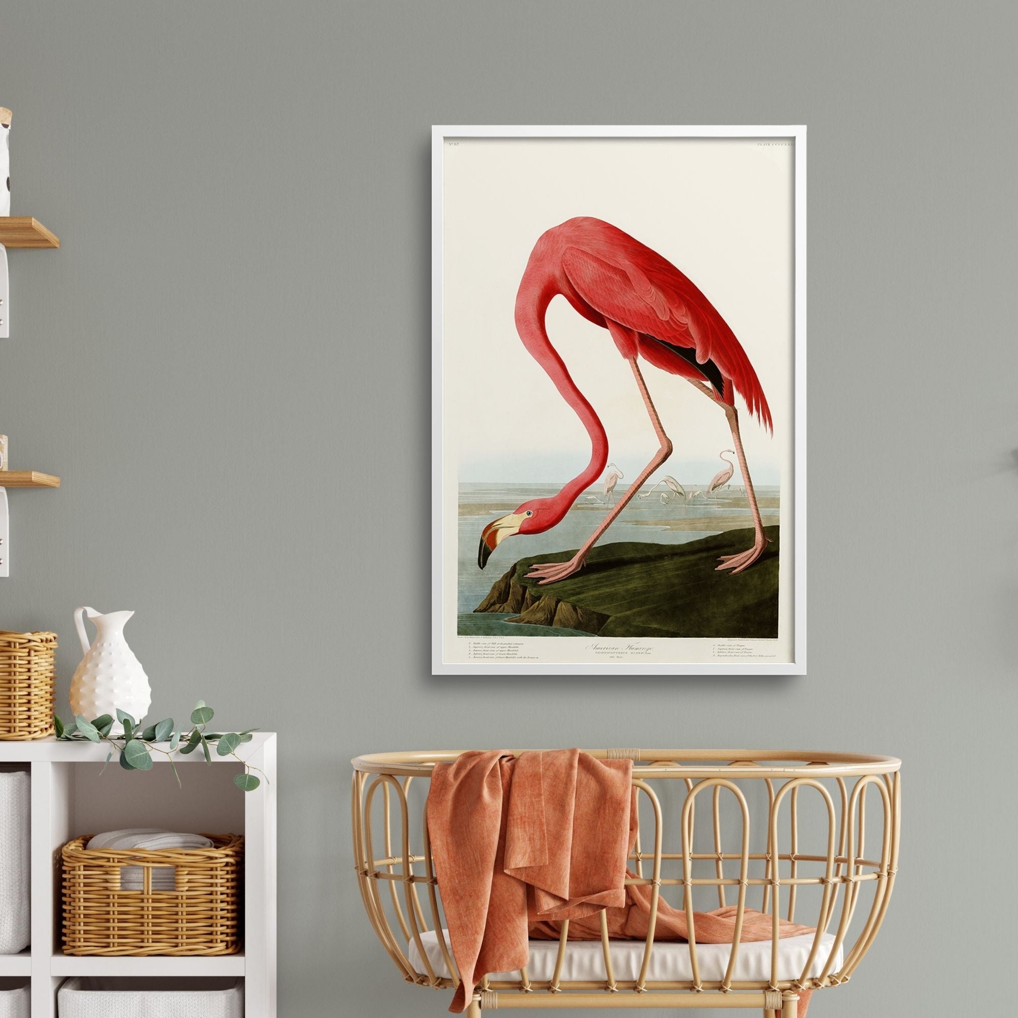 AMERICAN FLAMINGO, AUDUBON PLATE 431, in baby's room