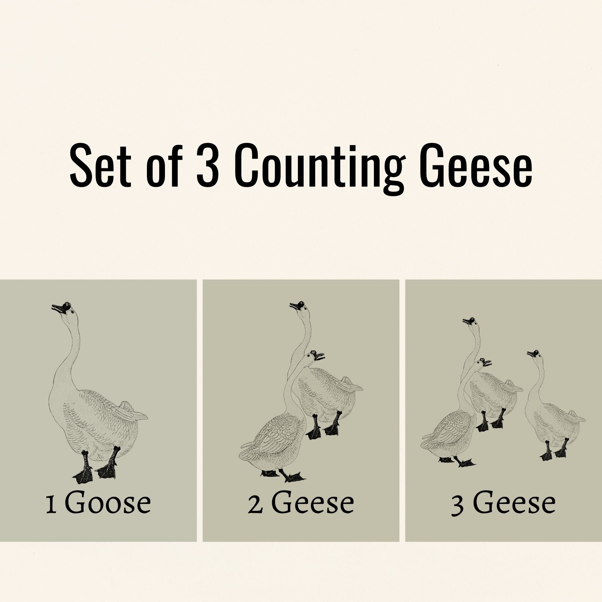 Set of 3 Sage Green Counting Geese Art Prints with Mats