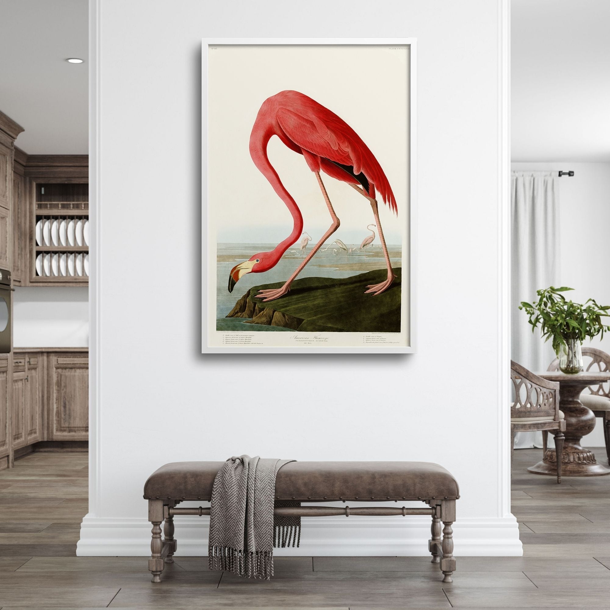 AMERICAN FLAMINGO, AUDUBON PLATE 431, in hall