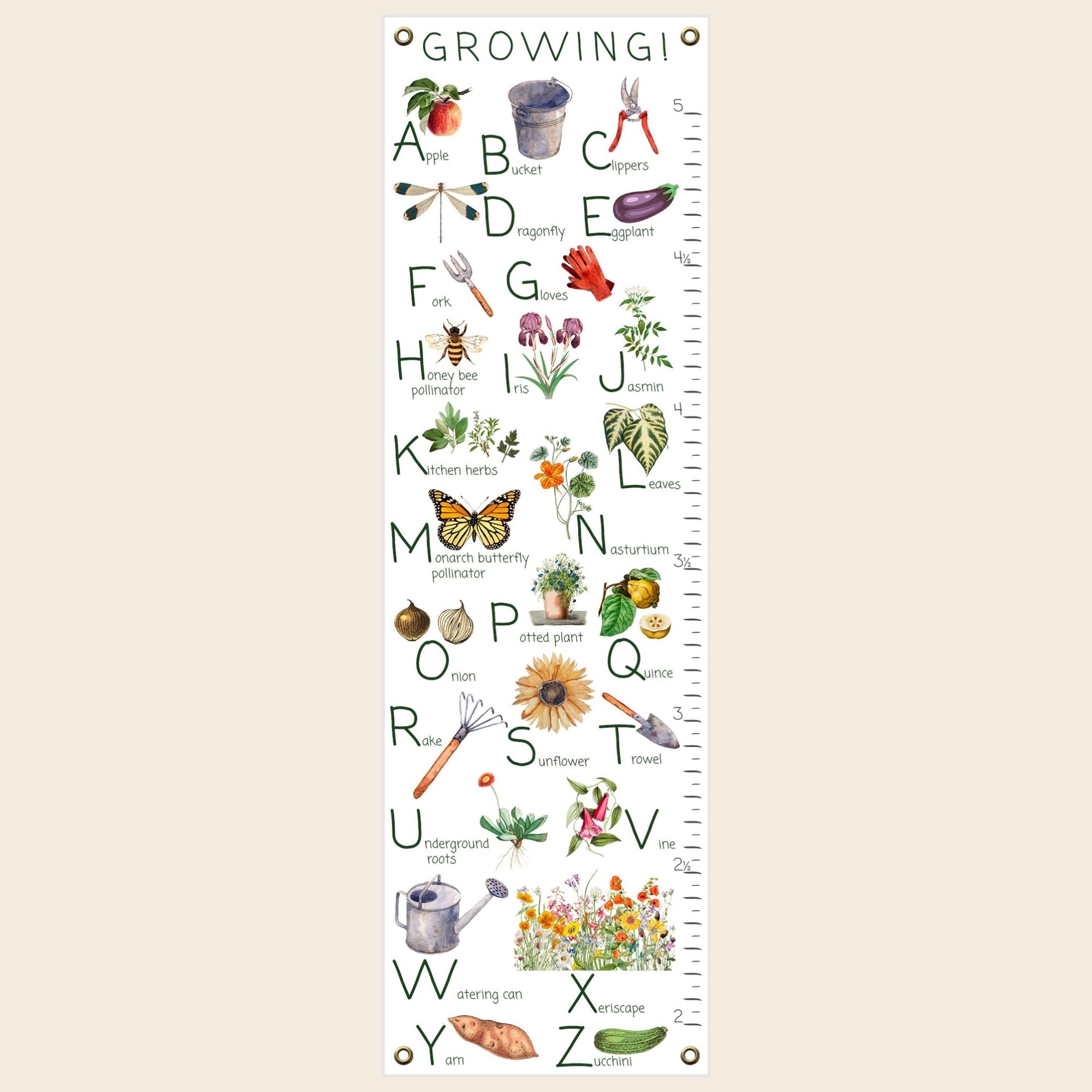 Garden ABC growth chart on fine art canvas.