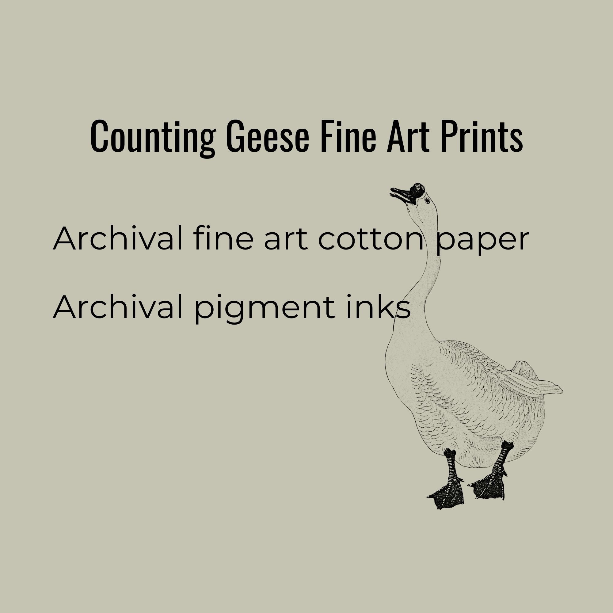Set of 3 Sage Green Counting Geese Art Prints with Mats