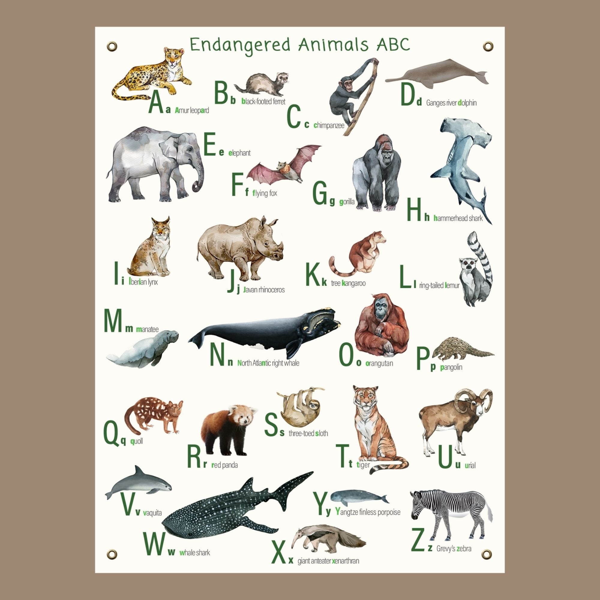 Canvas endangered animals alphabet poster with brass grommets for hanging.