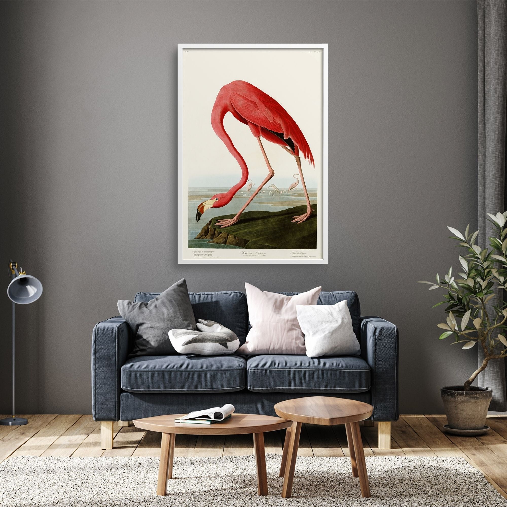 AMERICAN FLAMINGO, AUDUBON PLATE 431, on darker wall in living room