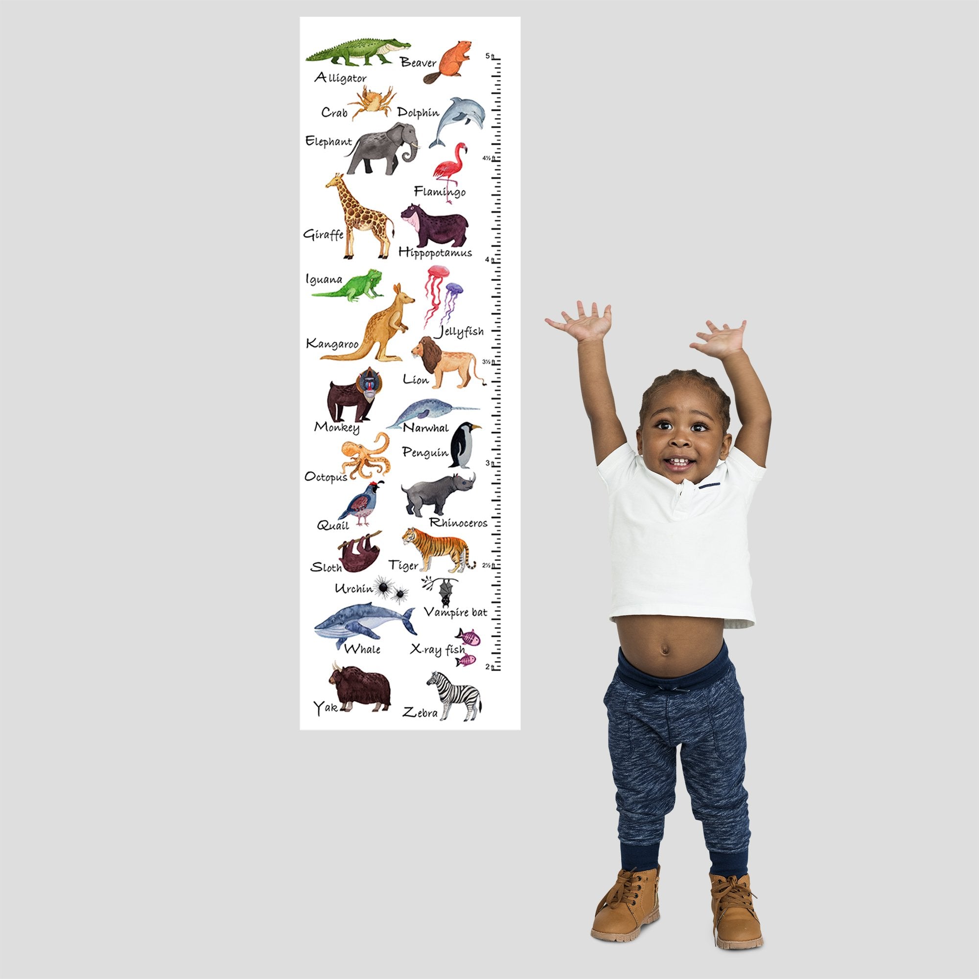 Alphabet growth chart with watercolor animals on exhibition canvas with brass grommets