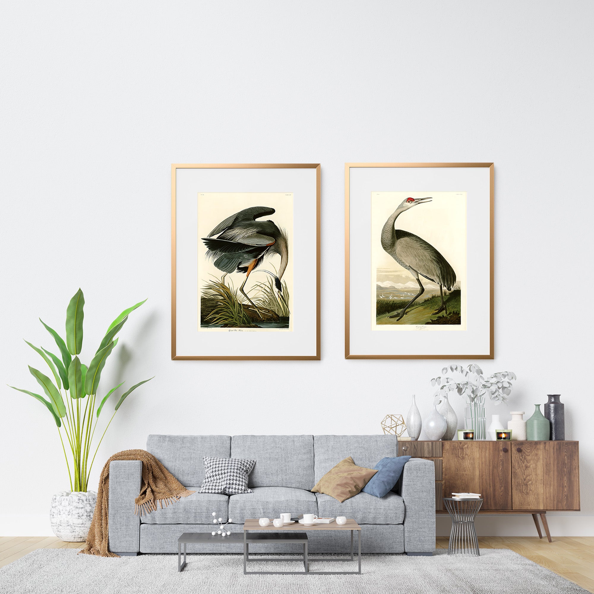 Pair of Audubon bird prints