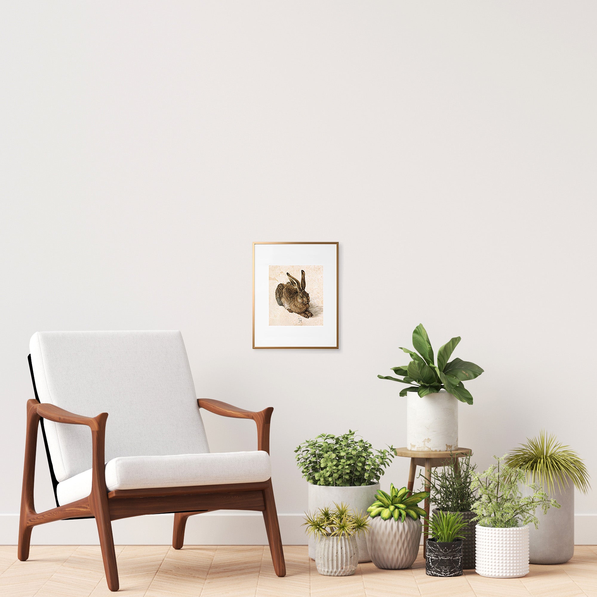 framed Dürer rabbit print