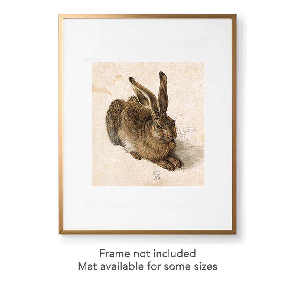 YOUNG HARE