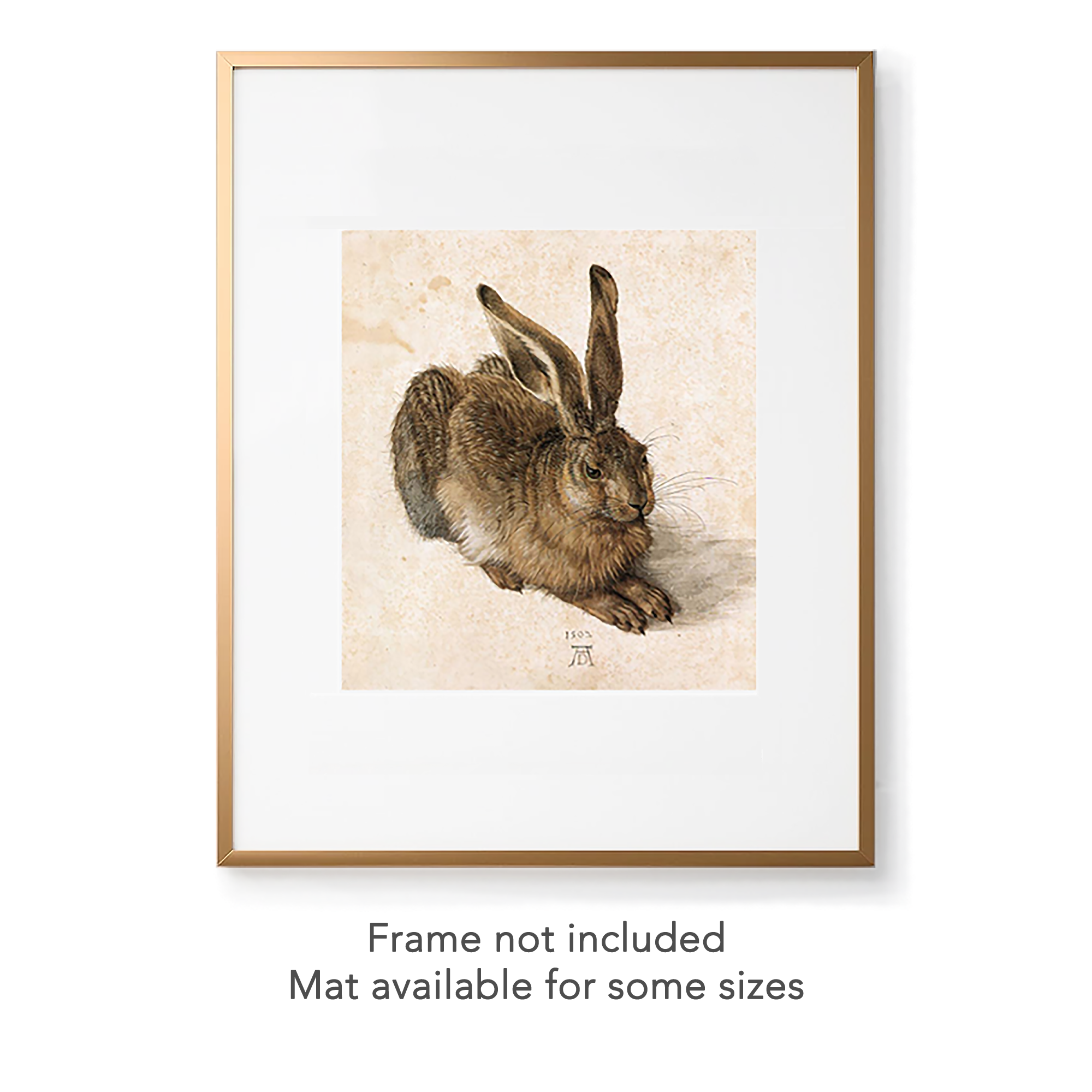 Dürer young hare print