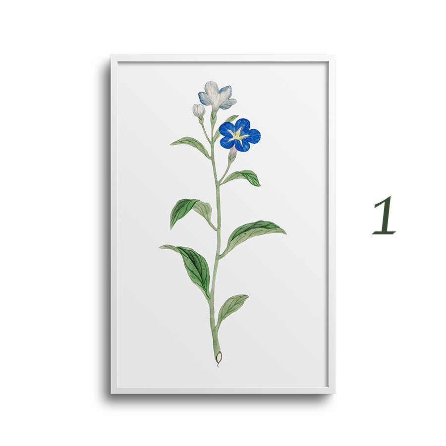 Japanese botanical print 1.