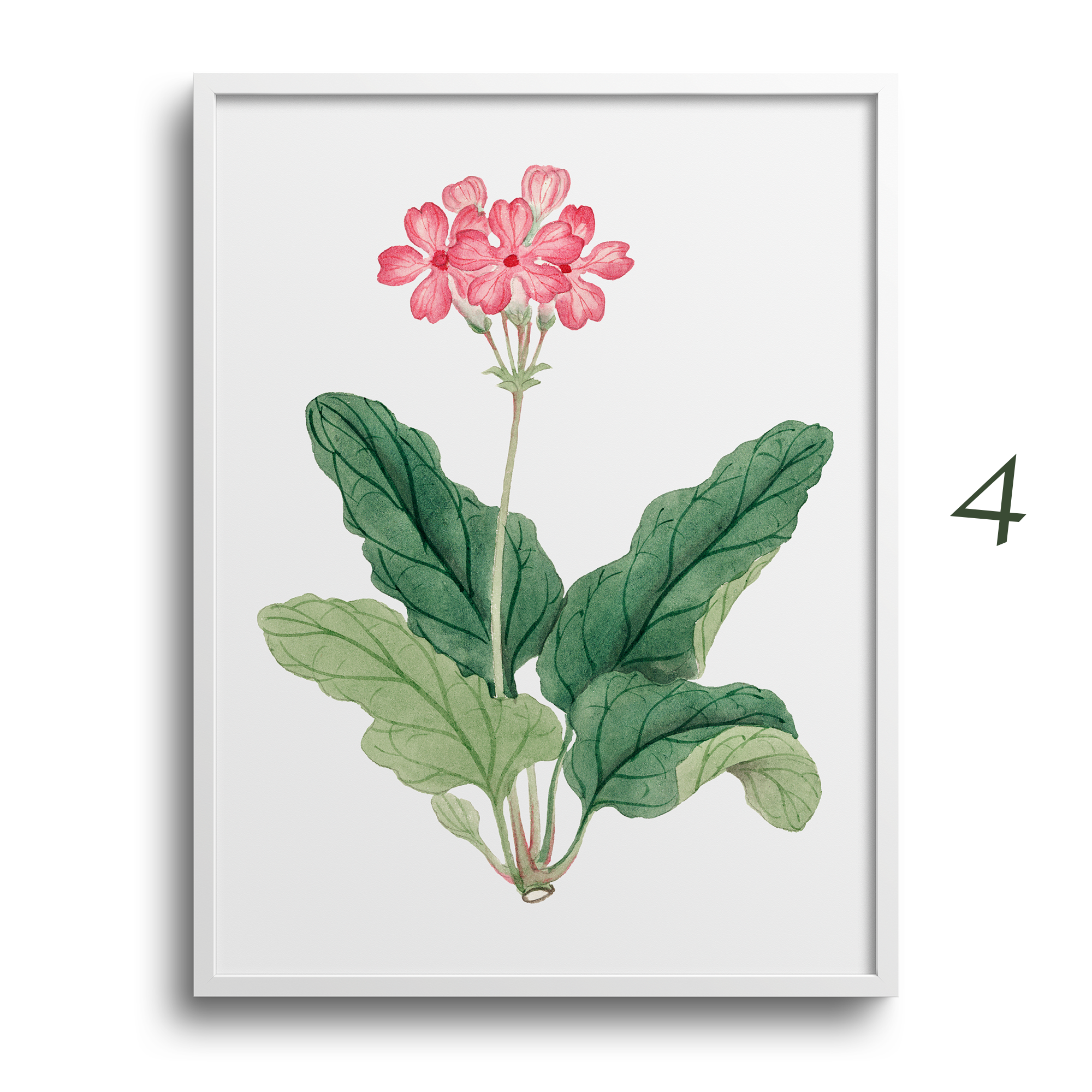 Japanese Botanical Prints