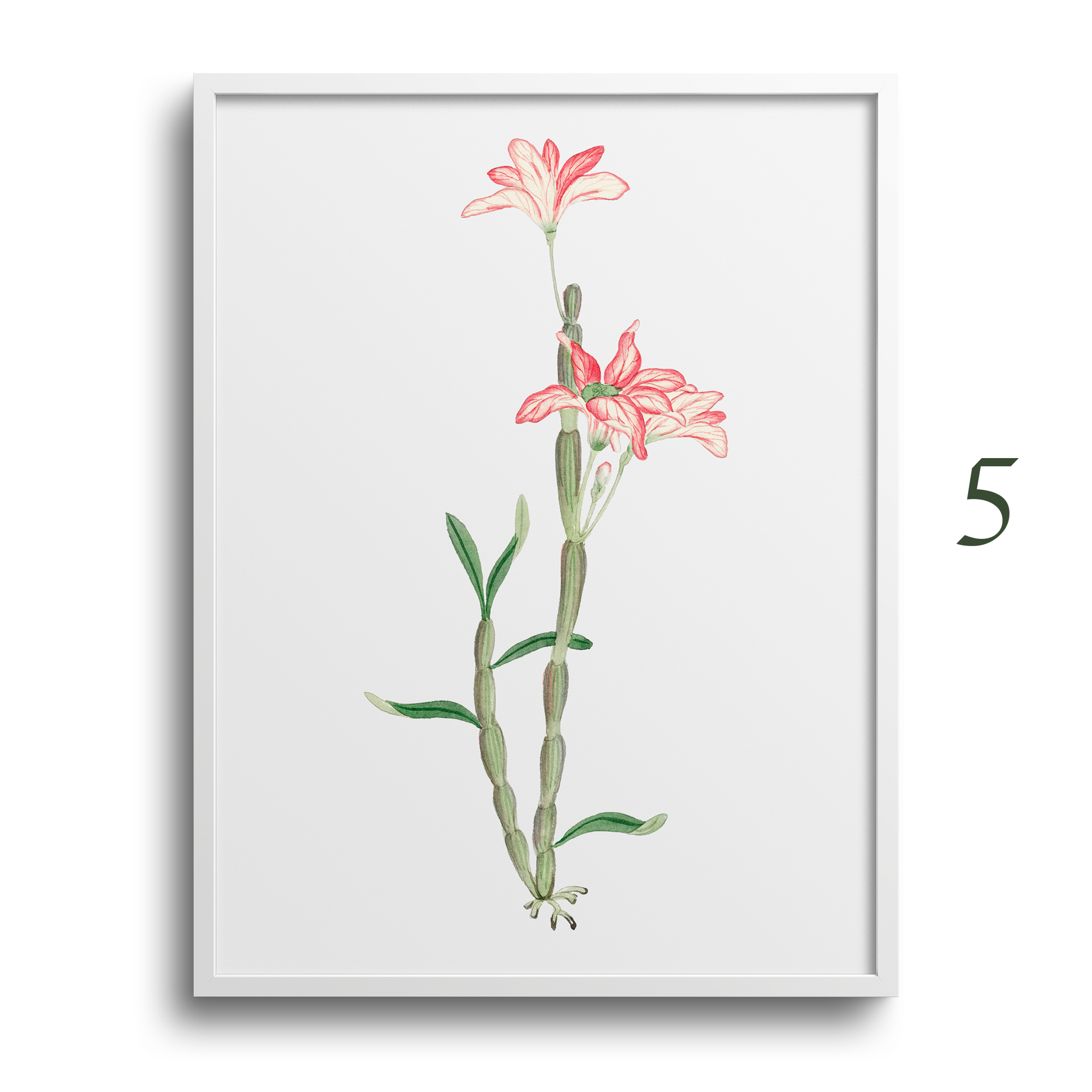 Japanese Botanical Prints