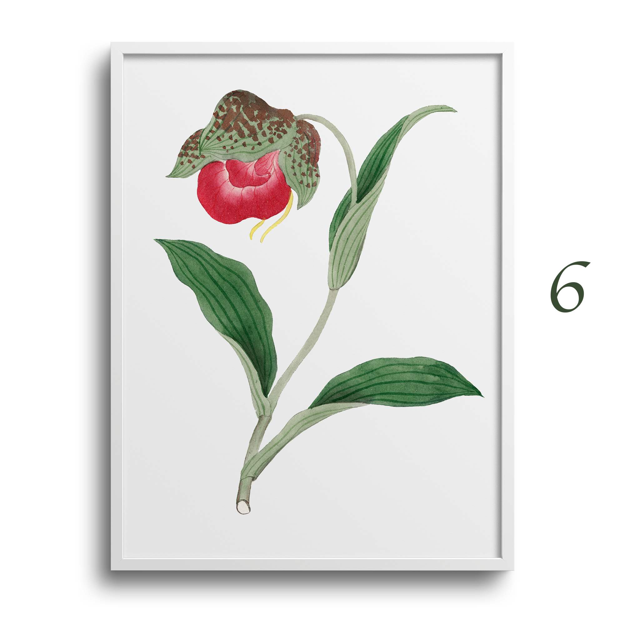 Japanese Botanical Prints