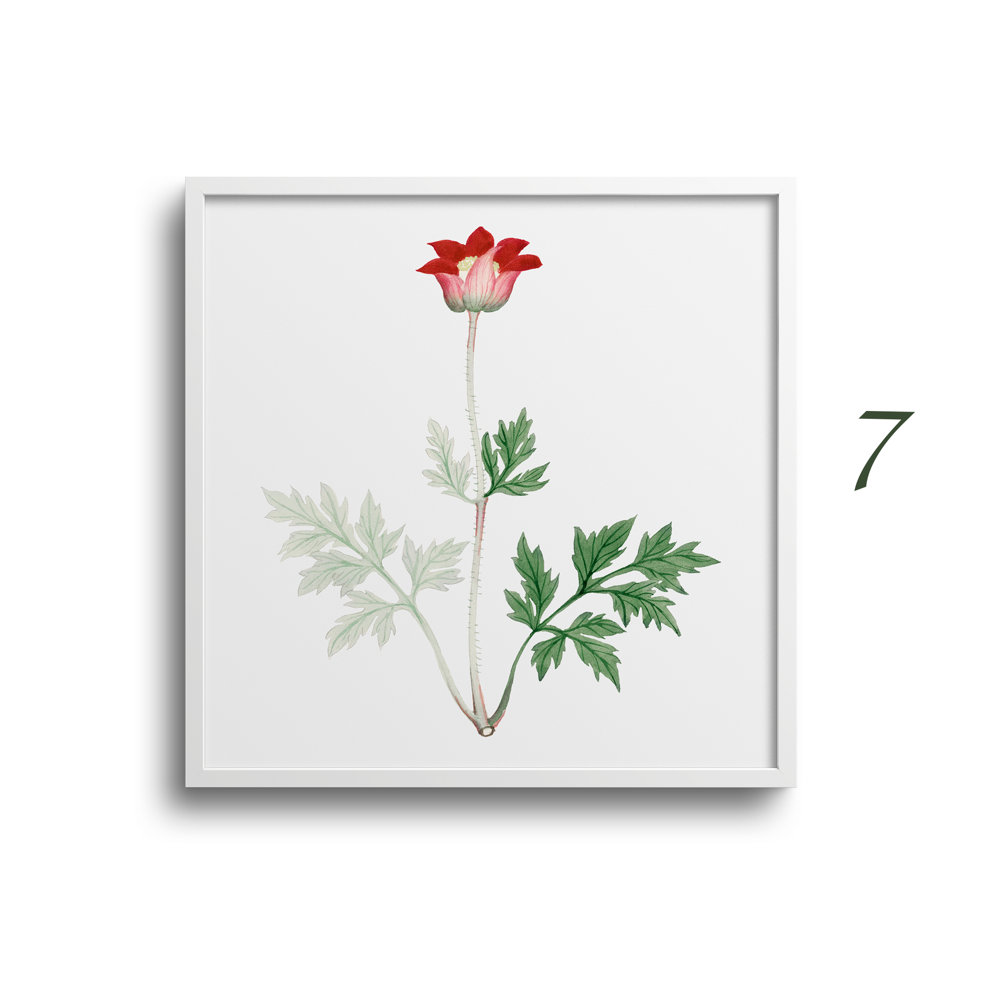 Japanese Botanical Prints