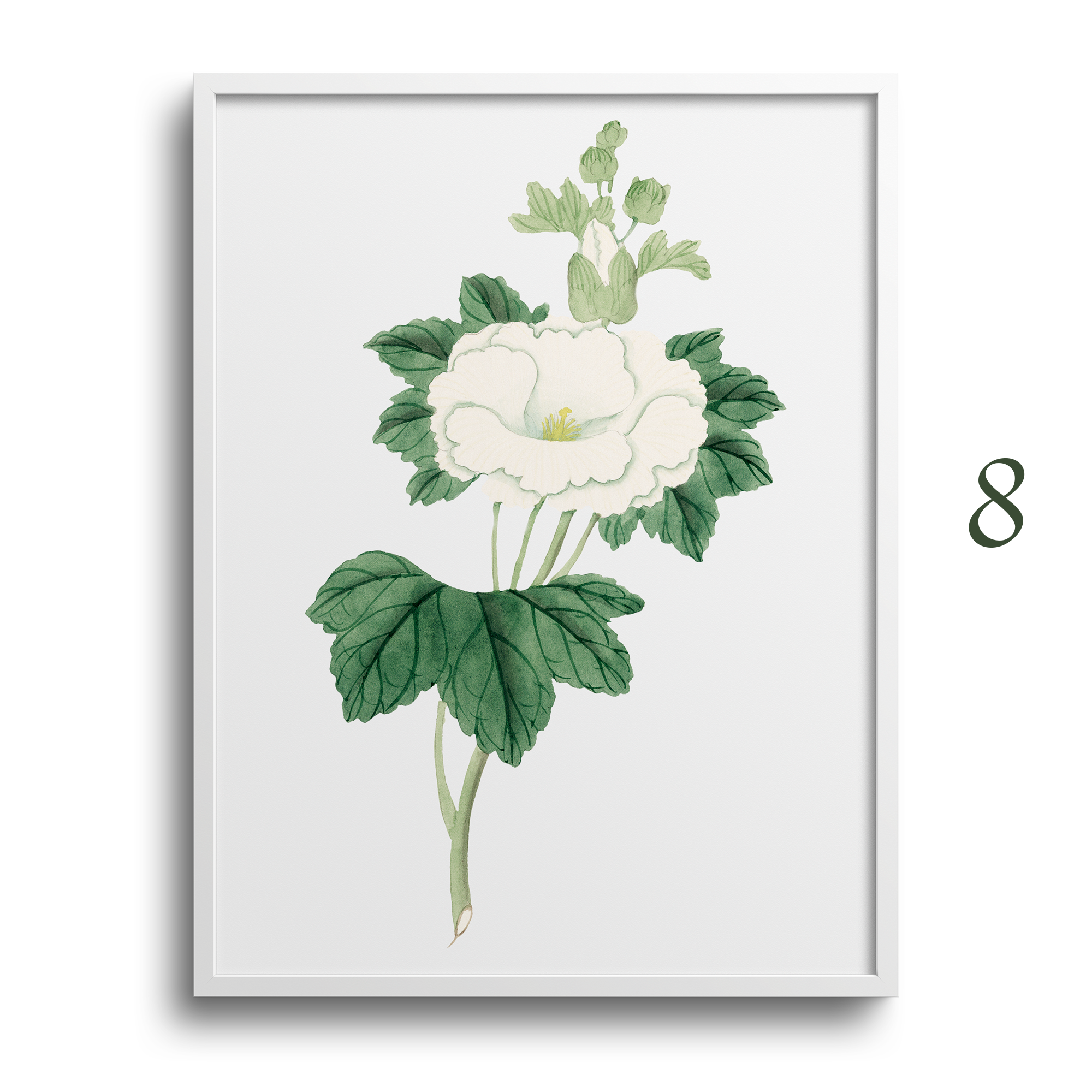 Japanese Botanical Prints