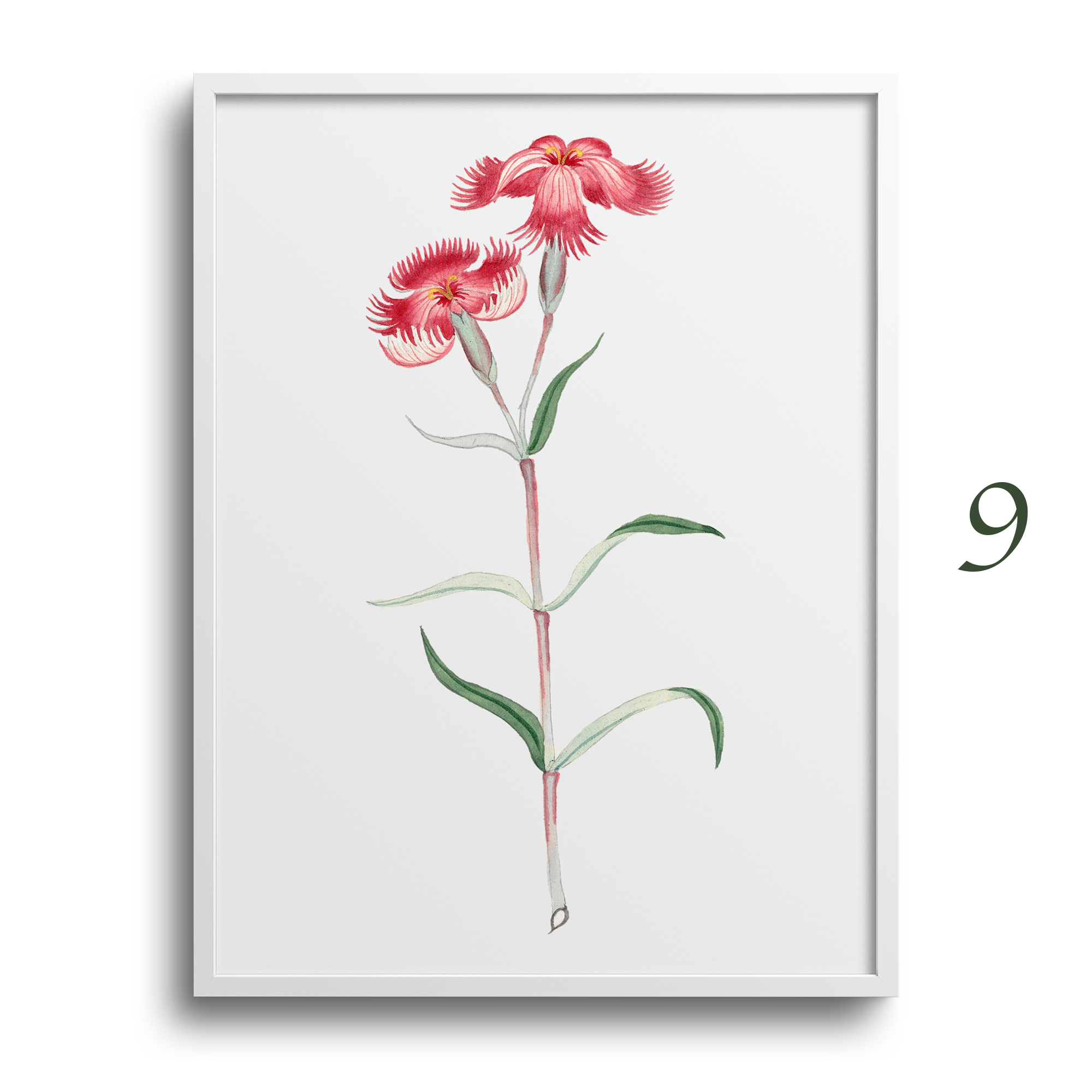 Japanese Botanical Prints
