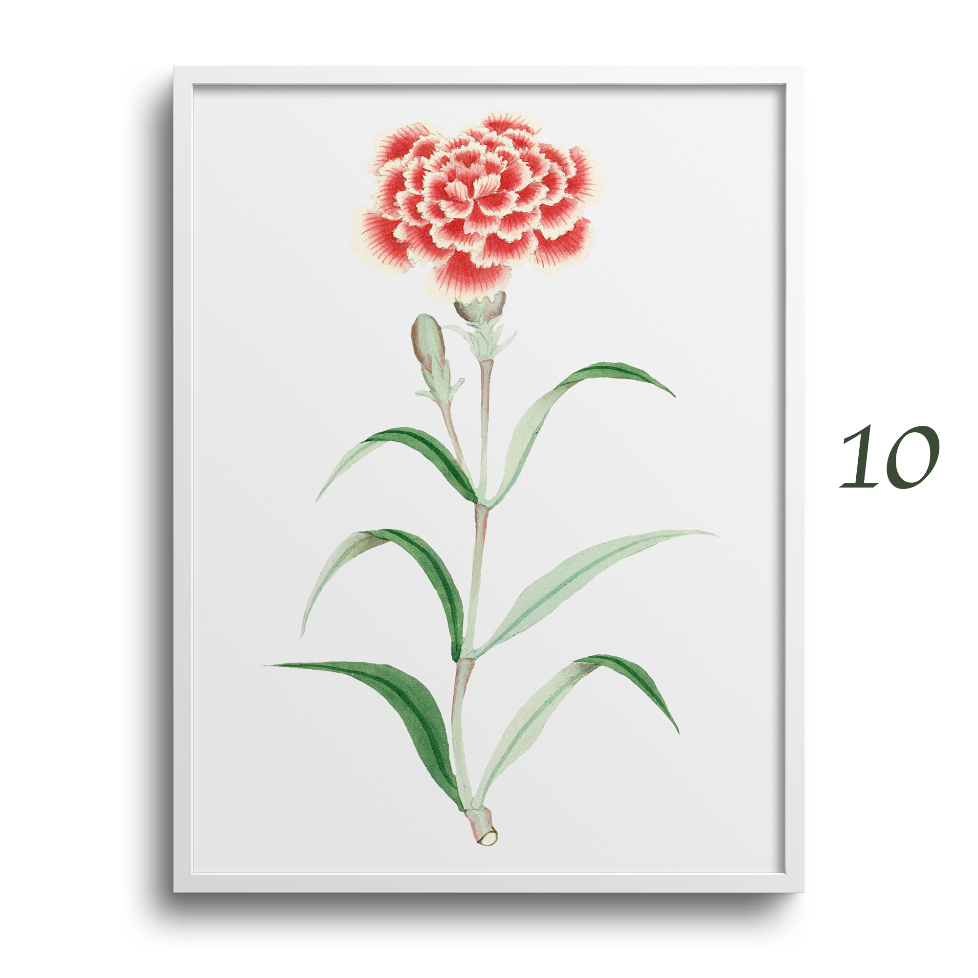 Japanese Botanical Prints