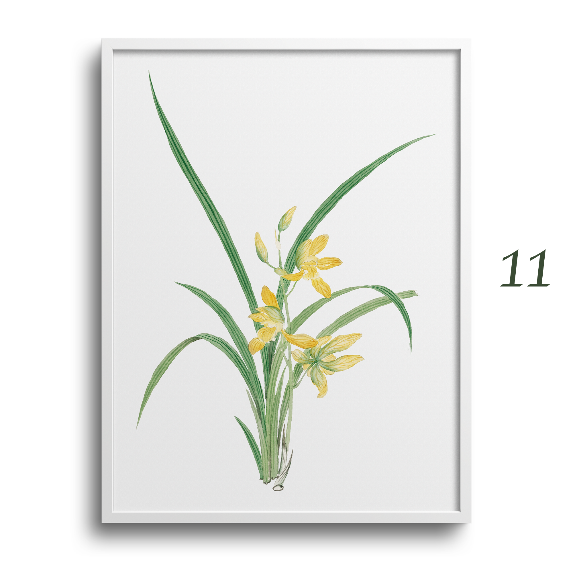 Japanese Botanical Prints