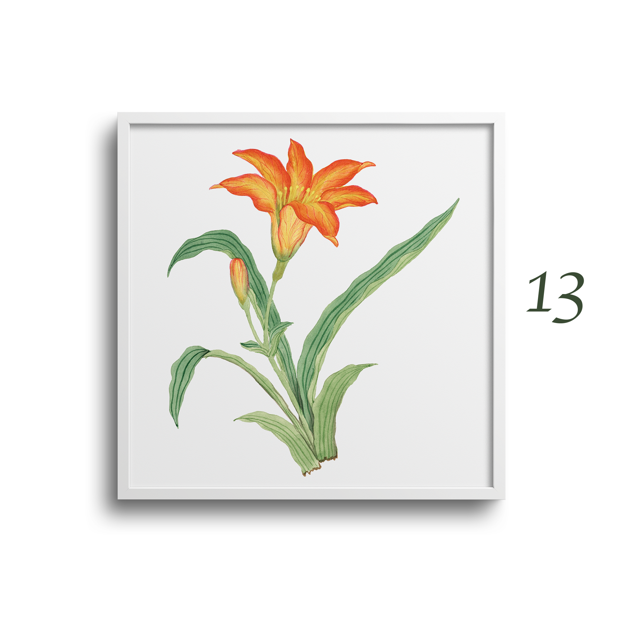 Japanese Botanical Prints