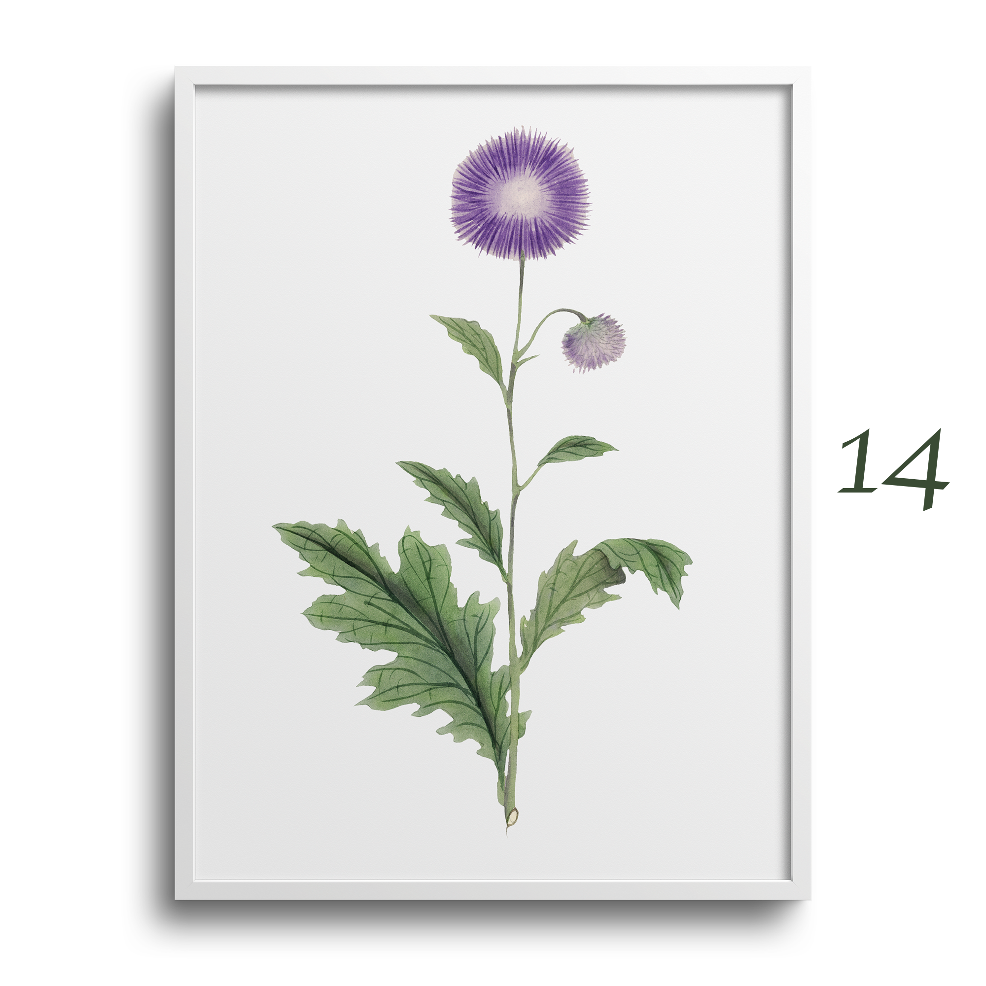 Japanese Botanical Prints