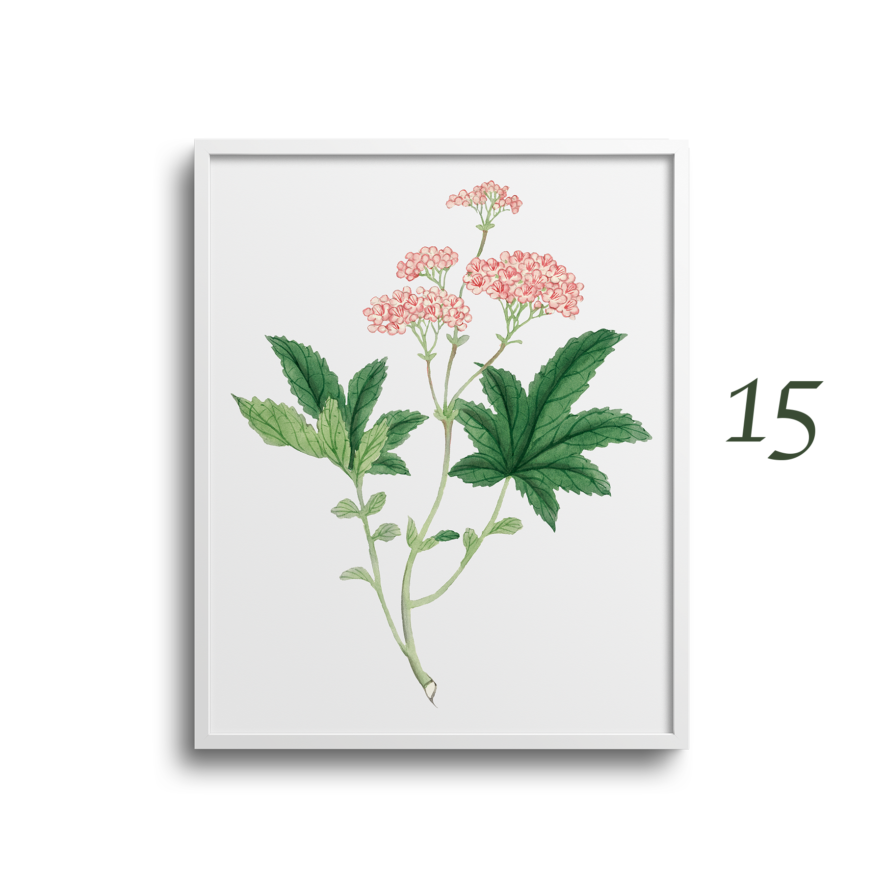 Japanese Botanical Prints