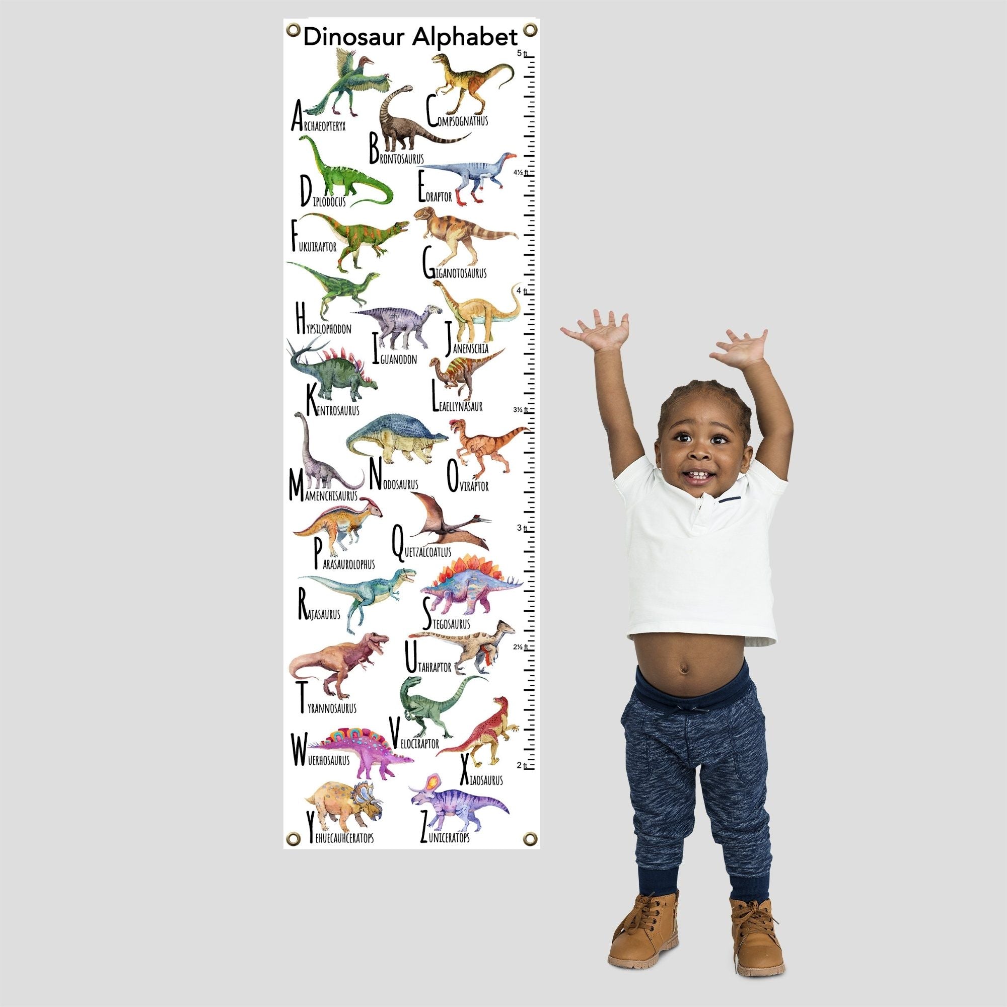Child with dinosaur alphabet growth chart.