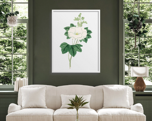 Japanese botanical fine art print in a living room.
