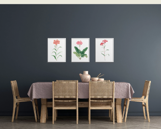 Japanese Botanical Prints
