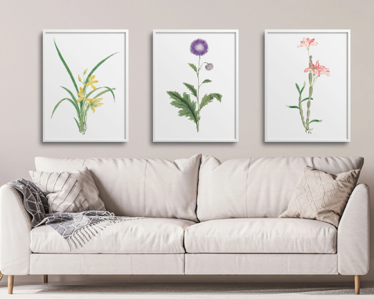 Japanese Botanical Prints