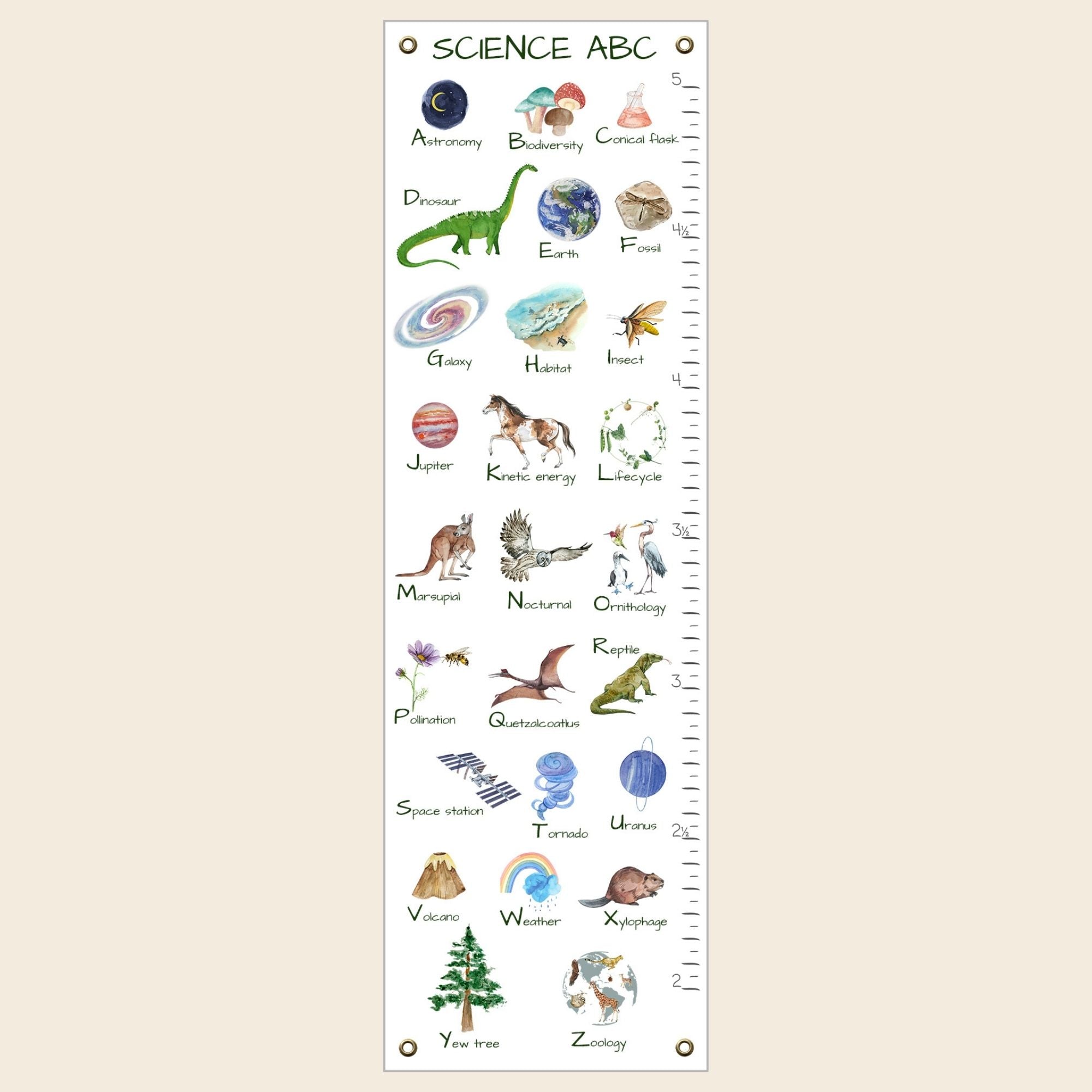 science alphabet growth chart