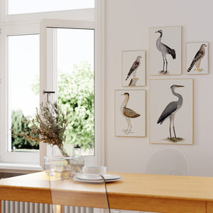 5 Rudbeck bird prints in a modern interior