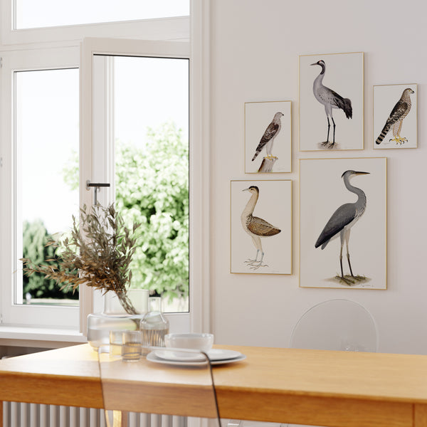 Decorating With Bird Prints: Bringing Nature's Beauty Indoors - Dera Design