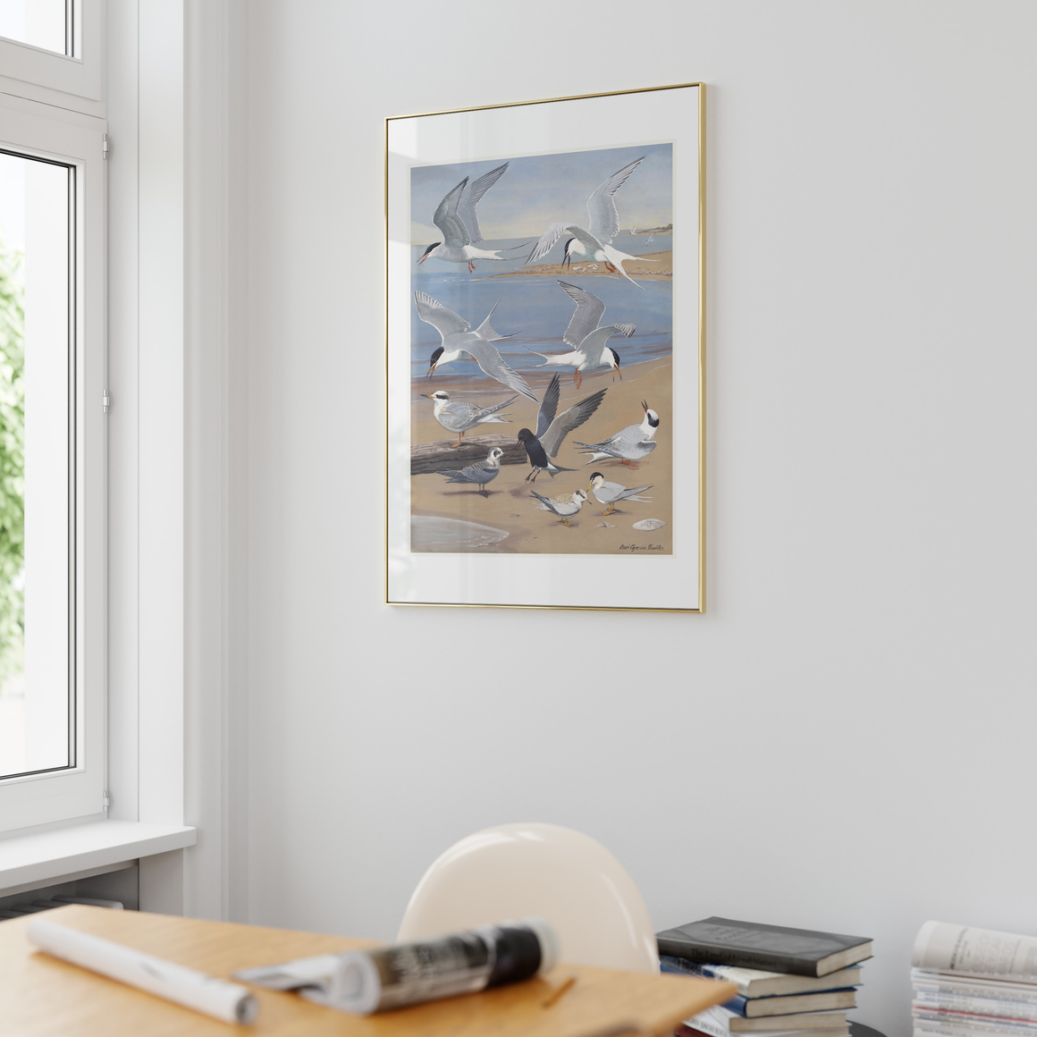 Dera Design remastered Louis Agassiz Fuertes gulls