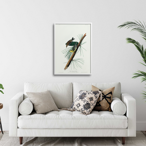 Minimalist living room with an Audubon bird print on the wall.